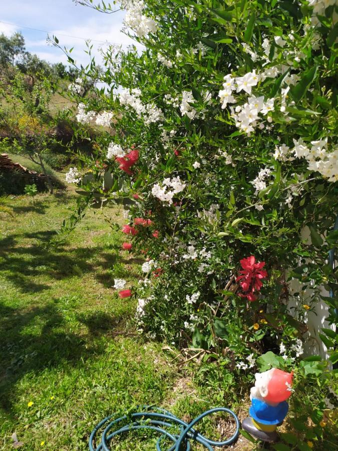 Casa Wiandeha Bed & Breakfast Figueiredo  Dış mekan fotoğraf