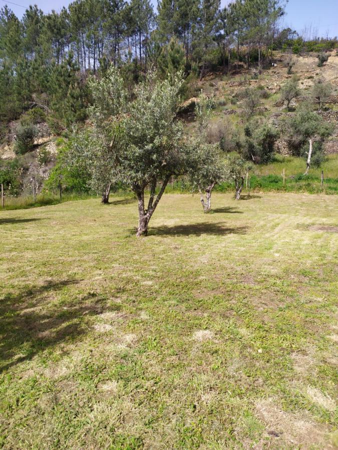 Casa Wiandeha Bed & Breakfast Figueiredo  Dış mekan fotoğraf