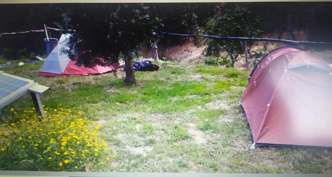 Casa Wiandeha Bed & Breakfast Figueiredo  Dış mekan fotoğraf
